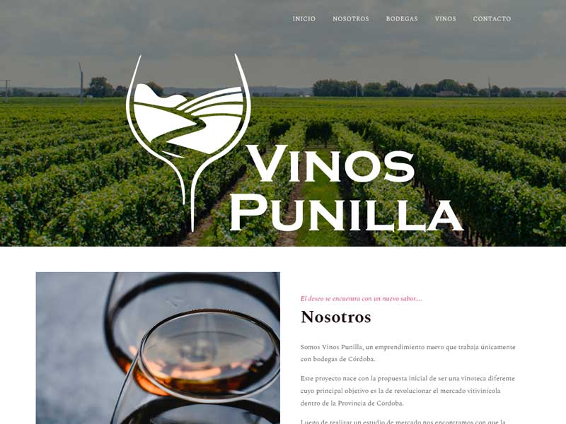 Captura de pantalla principal del sitio web Vinos Punilla
